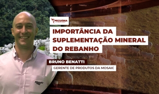Bruno Benatti - Gerente de Produtos da Mosaic