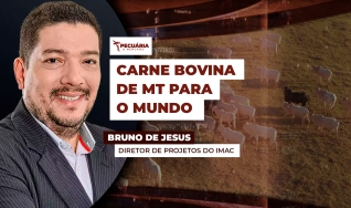 Bruno de Jesus - Diretor de Projetos do IMAC