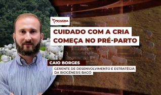 Caio Borges - Gerente de Desenvolvimento e Estratégia da Biogénesis Bagó