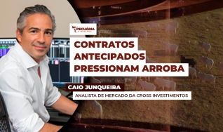 Caio Junqueira - Analista de Mercado da Cross Investimentos