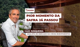 Caio Junqueira - Analista de Mercado da Cross Investimentos