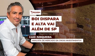 Caio Junqueira - Analista de Mercado da Cross Investimentos