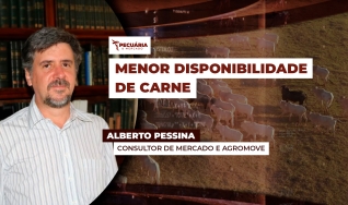Alberto Pessina - Consultor de mercado e fundador da AgroMove