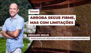 Geraldo Isoldi - Especialista em Mercados Agrícolas da Terra Investimentos