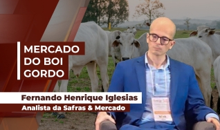 Fernando Henrique Iglesias - Analista da Safras & Mercado