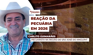 Carlito Guimarães - Pecuarista na Região de São José do Xingu/MT