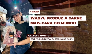 Celeste Molitor - Secretária Executiva da Associação Wagyu