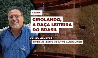 Celso Menezes - Superintendente Executivo da Girolando