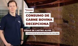 César de Castro Alves - Consultor de Agronegócio do Itaú BBA