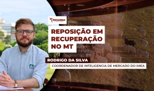 Rodrigo da Silva - Coordenador de Inteligencia de Mercado do IMEA