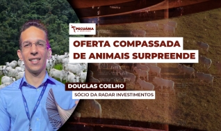 Douglas Coelho - Sócio da Radar Investimentos
