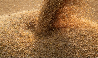 Marcos Araújo e Eduardo Vanin - Analistas de Mercado da Agrinvest