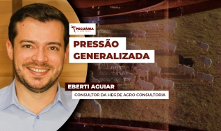 Eberti Aguiar - Consultor da Hegde Agro Consultoria