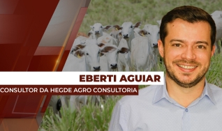 Eberti Aguiar - Consultor da Hegde Agro Consultoria