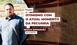 Renato Esperidião - Pecuarista