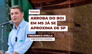 Frederico Stella - Diretor da Famasul