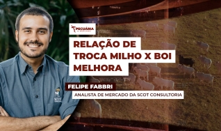 Felipe Fabbri - Analista de Mercado da Scot Consultoria