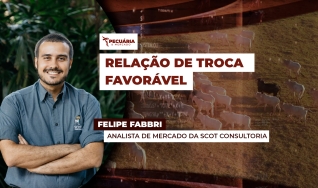 Felipe Fabbri - Analista de Mercado da Scot Consultoria