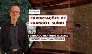 Fernando Henrique Iglesias - Analista da Safras & Mercado