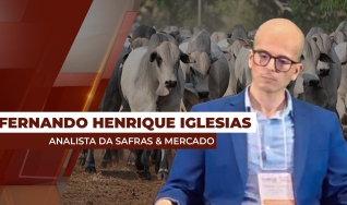 Fernando Henrique Iglesias - Analista da Safras & Mercado