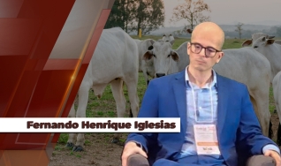 Fernando Henrique Iglesias - Analista da Safras & Mercado