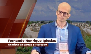Fernando Henrique Iglesias - Analista da Safras & Mercado