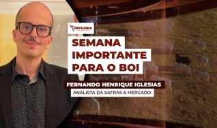 Fernando Henrique Iglesias - Analista da Safras & Mercado