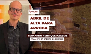 Fernando Henrique Iglesias - Analista da Safras & Mercado