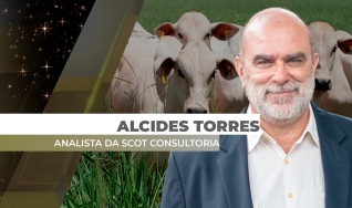 Alcides Torres - Analista de Mercado da Scot Consultoria