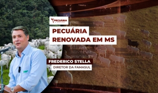 Frederico Stella - Diretor da Famasul
