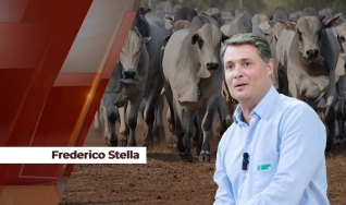 Frederico Stella - Diretor da Famasul