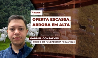 Gabriel Gonsalves - Sócio e Co-Fundador da Pecuarizze