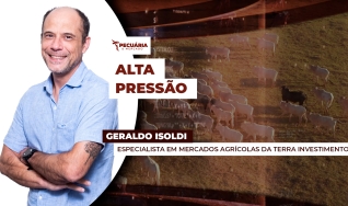 Geraldo Isoldi - Especialista em Mercados Agrícolas da Terra Investimentos
