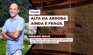 Geraldo Isoldi - Especialista em Mercados Agrícolas da Terra Investimentos