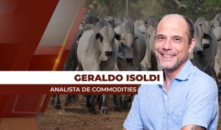 Geraldo Isoldi - Analista de Commodities