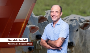 Geraldo Isoldi - Analista de Commodities