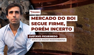 Gustavo Figueiredo - Sócio da Radar Investimentos