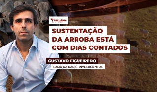 Gustavo Figueiredo - Sócio da Radar Investimentos