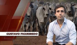 Gustavo Figueiredo - Sócio da Radar Investimentos