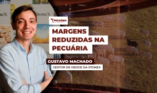Gustavo Machado - Gestor de Hedge da StoneX