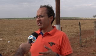 Gustavo Rezende Siqueira, Pesquisador Científica da APTA