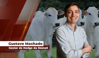 Gustavo Machado - Gestor de Hedge da StoneX