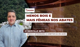 Hyberville Neto - Médico veterinário e Diretor da HN AGRO