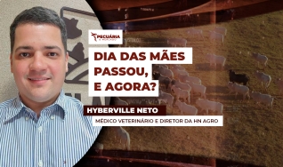 Hyberville Neto - Médico veterinário e Diretor da HN AGRO