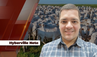 Hyberville Neto - Médico veterinário e Diretor da HN AGRO