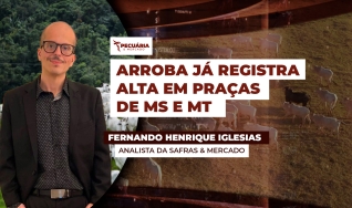 Fernando Henrique Iglesias - Analista da Safras & Mercado