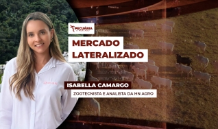 Isabella Camargo - Zootecnista e analista da HN Agro