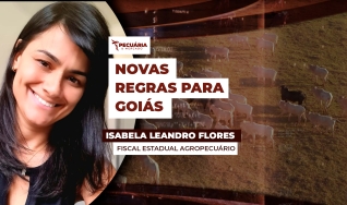 Isabela Leandro Flores - Fiscal Estadual Agropecuário
