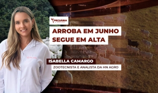 Isabella Camargo - Zootecnista e analista da HN Agro