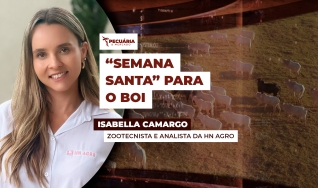 Isabella Camargo - Zootecnista e analista da HN Agro